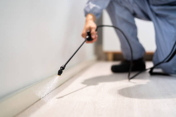 Licensed Pest Control service in Norwalk, CT - Show Me Pest Control