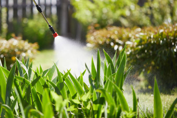 24/7 Emergency Mosquito Control experts in Norwalk, CT