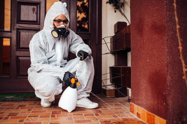 Reliable Mosquito Control contractor in Norwalk, CT by Show Me Pest Control