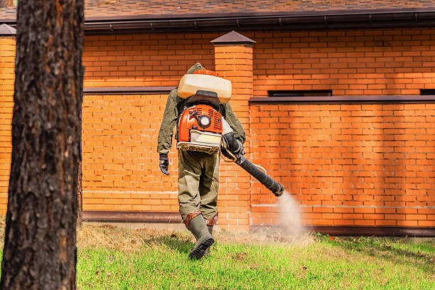 Top rated local Mosquito Control specialists in Norwalk, CT